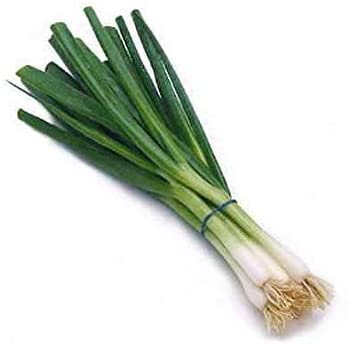 Cebette ou oignons nouveaux