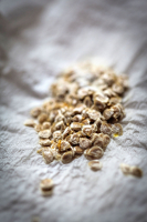 Variété rouge : saint pierre