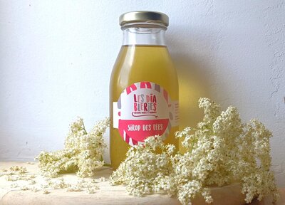 Sirop des fées (aux fleurs de sureau)
