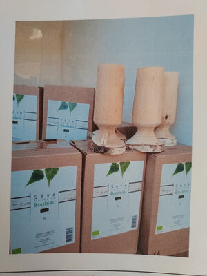 Seve de bouleau (cubis de 3l)