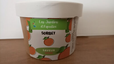 Sorbet mandarine individuel