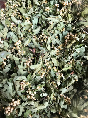 Tisane simple aubépine
