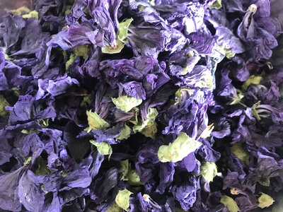 Tisane simple mauve