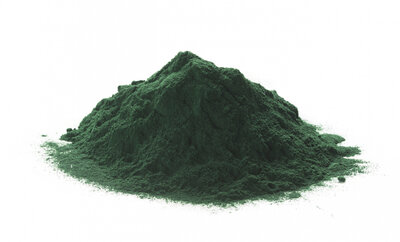 Spiruline en microbilles / sachet de 100g