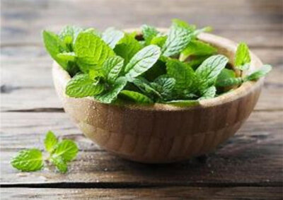 Verrine menthe