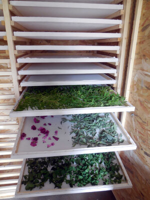 Tisane 'rhume des soins'