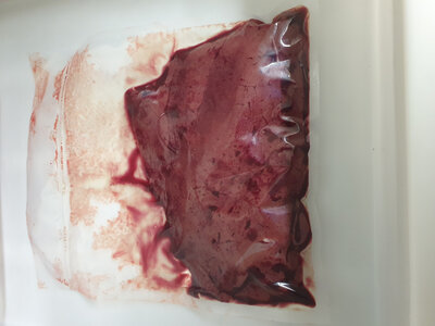Foie