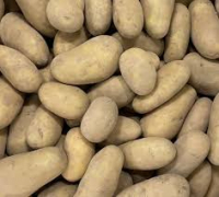 Pomme de terre allians