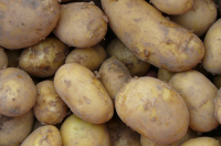 Pomme de terre spécial frites et purée