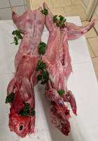 Gros lapin entier