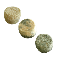 Spécial : trio de crottins