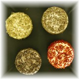 Spécial : plateau apéritif de 4 aromatisés