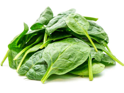 Epinard jeune pousse - type mesclun