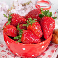 Plant vivace fraisier cirafine