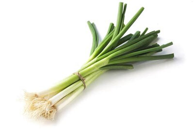 Oignons ciboule (cébette), botte
