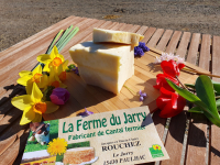Tome fraiche fermiére de cantal