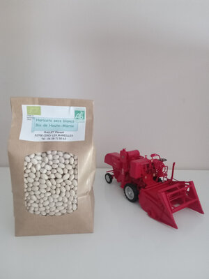 Haricots coco blancs