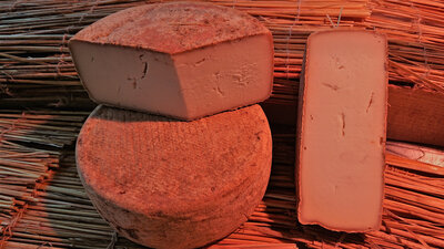 Pyrénées chèvre d'ayduis