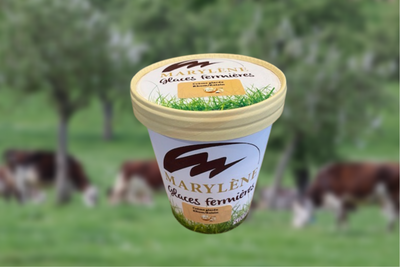 Crème glacée rhum/raisin