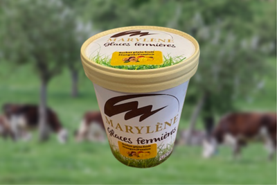 Sorbet mangue/passion 'plein fruit'