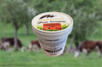 Sorbet pomme  'plein fruit' petit pot