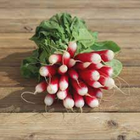 Botte de radis bio