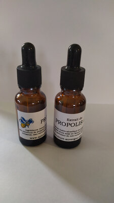 Extrait de propolis