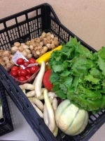 Panier légumes de saison (moyen)