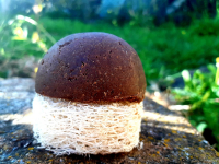 Shampoing solide végétal cheveux blond-blanc