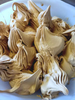 Crème glacée au café