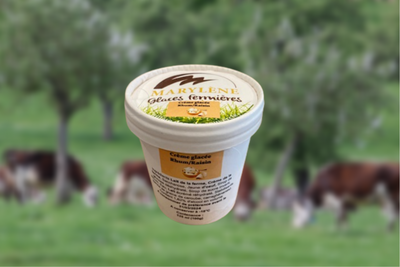 Crème glacée rhum/raisin petit pot