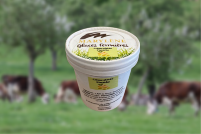 Crème glacée pistaches petit pot