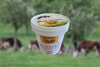 Glace noisette petit pot