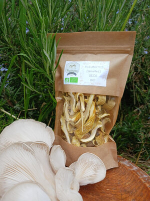 Pleurotes gris secs bio