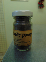 Basilic pourpre