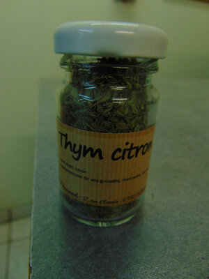 Thym citron