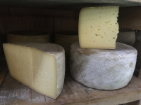Tomme fermière au lait cru de vache bio