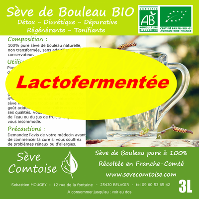 Sève de bouleau bio lactofermentée