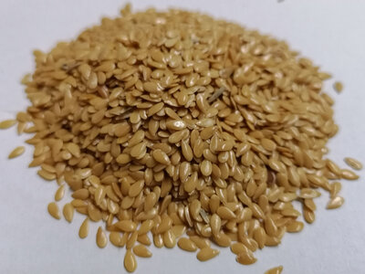 Lin doré grains