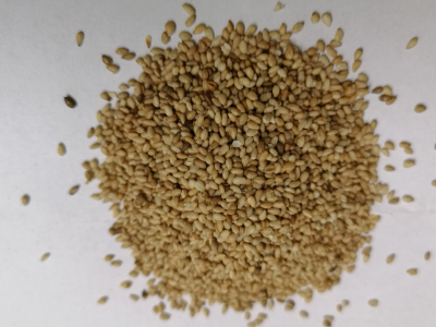 Sésame complet graines toastées