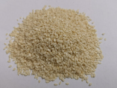 Sesame blanc graines décortiqués
