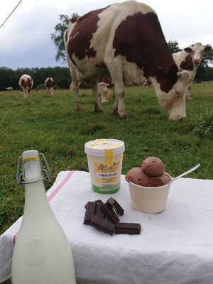 Crème glacée chocolat