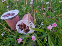 Crème dessert chocolat