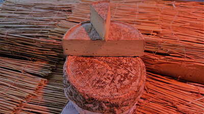 Tomme de savoie