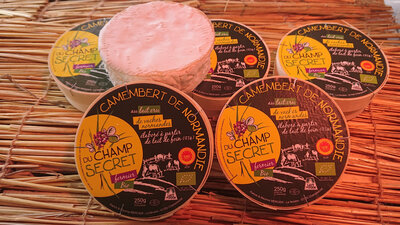 Camembert de normandie