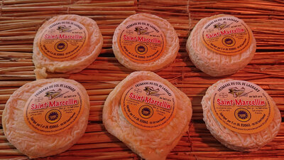 St marcellin au lait cru