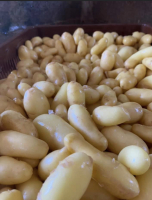 Pomme de terre nouvelle