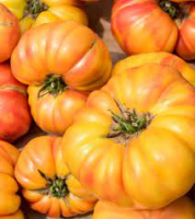 A planter : tomate ananas