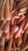 Carotte orange vrac