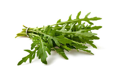 Roquette